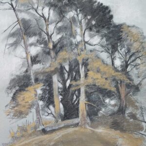 Trees in Charcoal