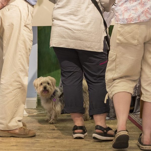 AE4I8062Spring Fling 2018