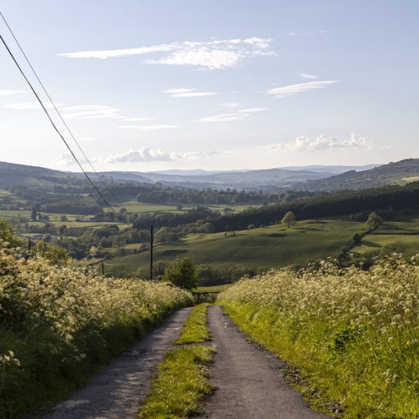 Spring Fling 2022 low res107