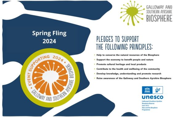 Spring Fling EVENT charter certificate 2024 Spring Fling EVENT charter certificate 2024