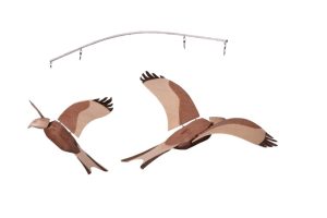 Second Kite form2 Second Kite form2