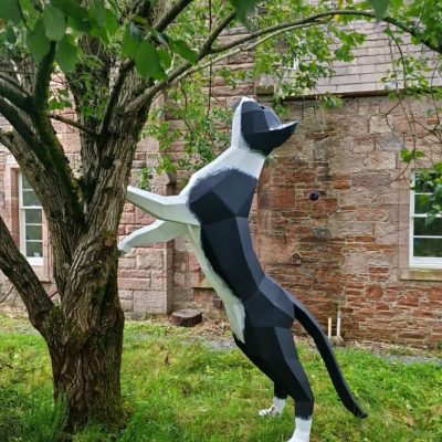 Giant Cat, Called Ailsa