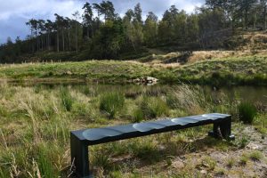 Seat4U bench on TVNR – the community owned nature reserve with which I am involved