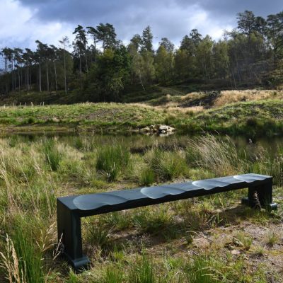 Seat4U bench on TVNR – the community owned nature reserve with which I am involved