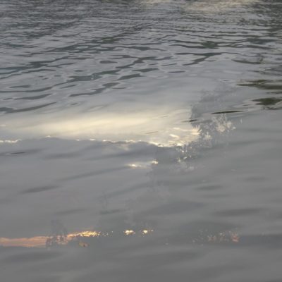 02 Lorna Phillips Work Image 2 - Film Still from If the Walls Could Talk