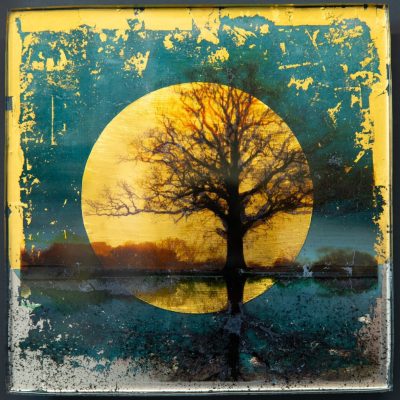 Continuum VII Embrace