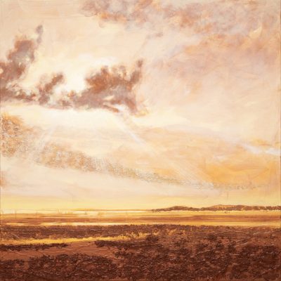 Tidelines V Mersehead Beach