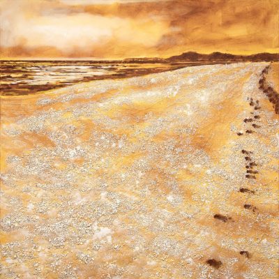 Tidelines VI Mersehead Beach