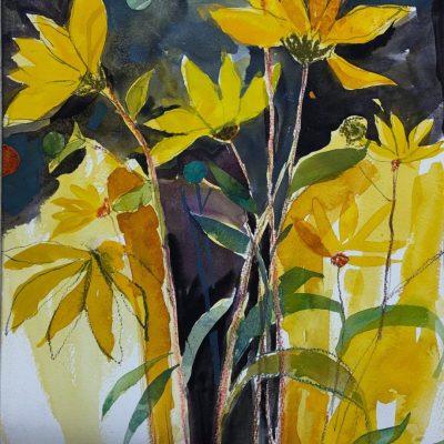 Rudbeckia. Gouache and pencil. 40 x30 cm