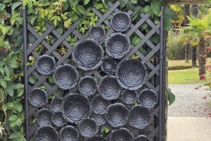 Aeonium gate