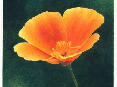 Claire Cameron-Smith