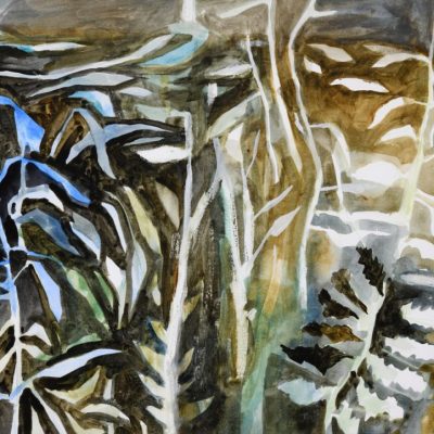 Calypso Watercolour on paper
