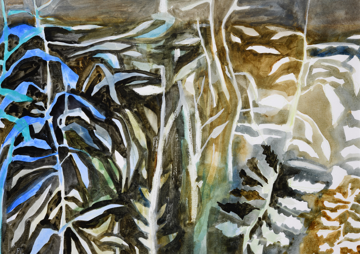 Calypso Watercolour on paper