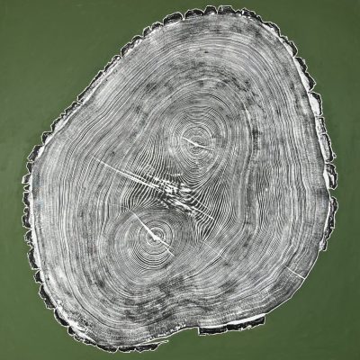 Fraxinus III Fraxinus III