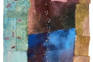 Goose Map : Where the Salt Meets the Fresh