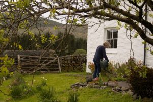 ‘Sue King-Smith’ Sue in her garden, from my project ‘Life at the end of Shinnel Vally’.