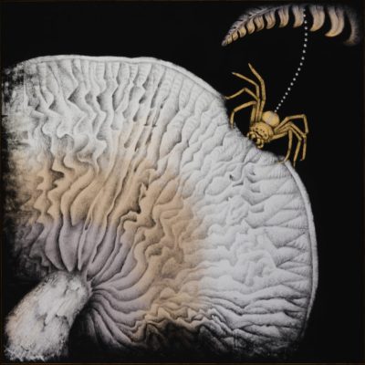 “Golden Huntsman” 2024/2025