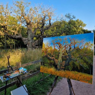 Plein Air Painting the Major Oak in Sherwood Forest. 2024 Plein Air Painting the Major Oak in Sherwood Forest. 2024