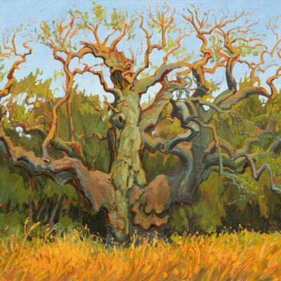 'The Major Oak (An Ark Through Time)' Oil on Canvas 'The Major Oak (An Ark Through Time)' Oil on Canvas