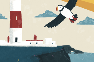 Puffin, Illustration inspired by Peterhead