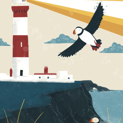 Puffin, Illustration inspired by Peterhead Puffin, Illustration inspired by Peterhead
