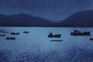 Safe Harbour