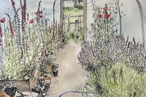 Spring in the Polytunnel