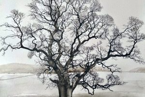 Winter Oak