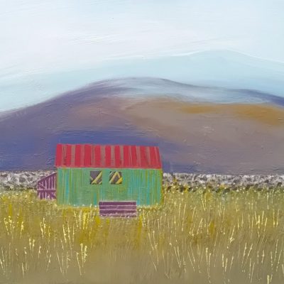 Little Shed Among the Fells