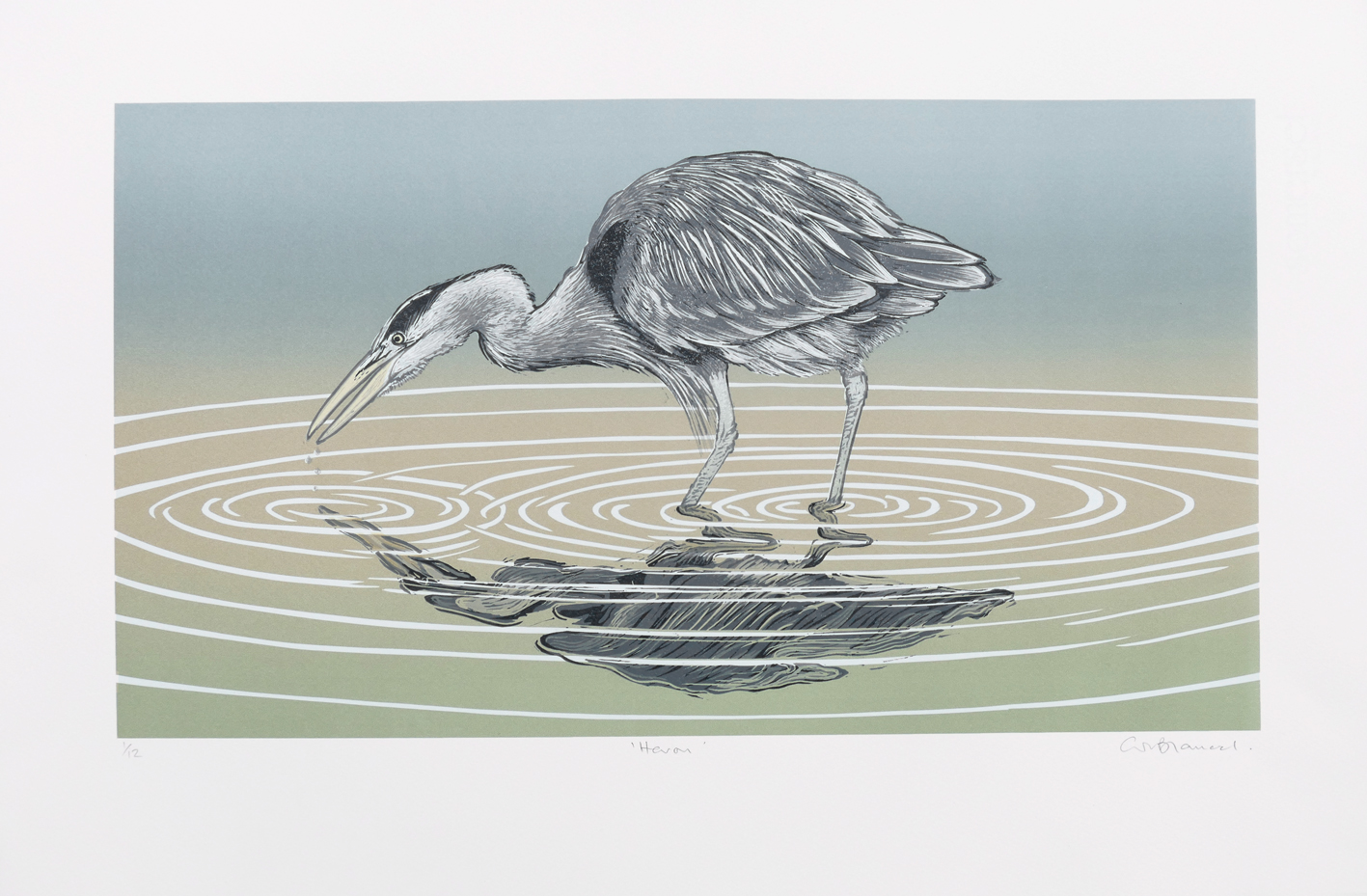 Heron