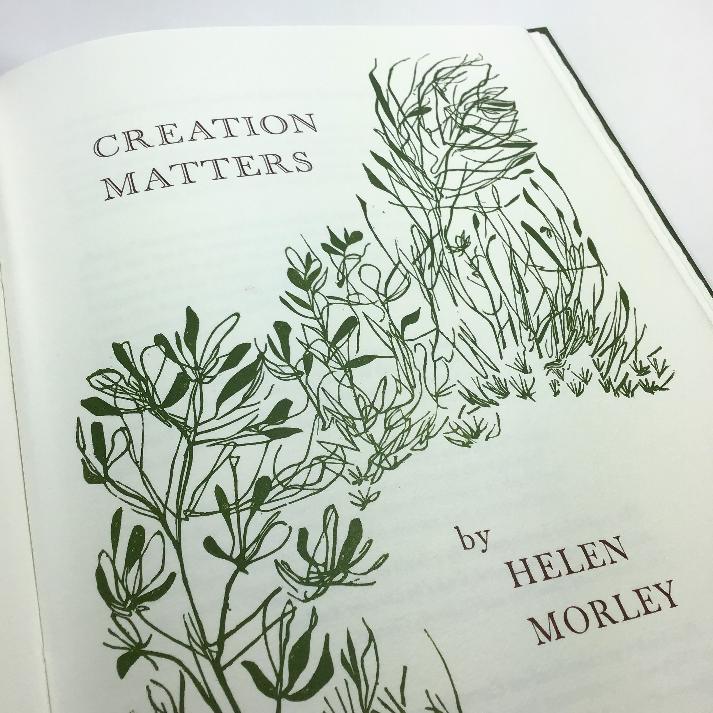 Creation Matters by Helen Morley